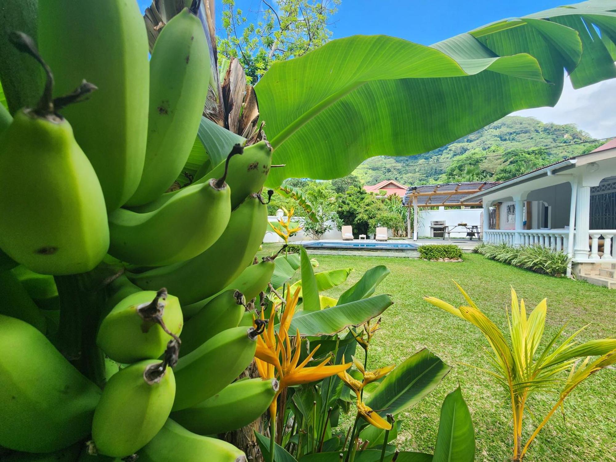 Kaz Memel Villa Beau Vallon  Exterior photo